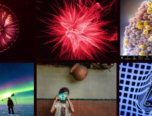 We have the winners of the IUPAP100 Photo Contest